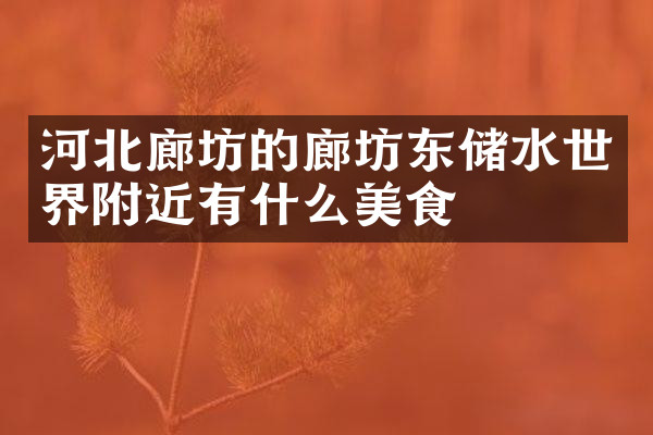 河北廊坊的廊坊东储水世界附近有什么美食