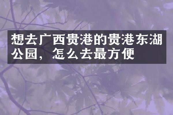 想去广西贵港的贵港东湖公园，怎么去最方便