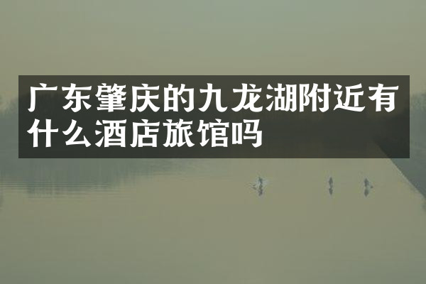 广东肇庆的九龙湖附近有什么酒店旅馆吗