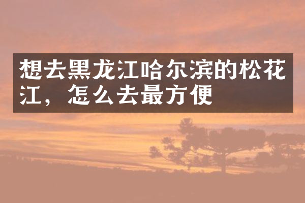 想去黑龙江哈尔滨的松花江，怎么去最方便