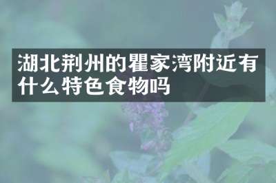 湖北荆州的瞿家湾附近有什么特色食物吗