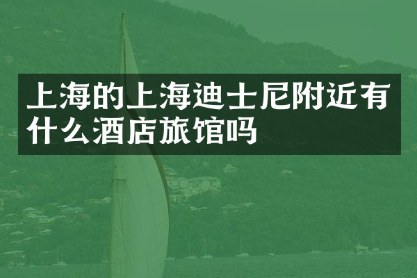 上海的上海迪士尼附近有什么酒店旅馆吗