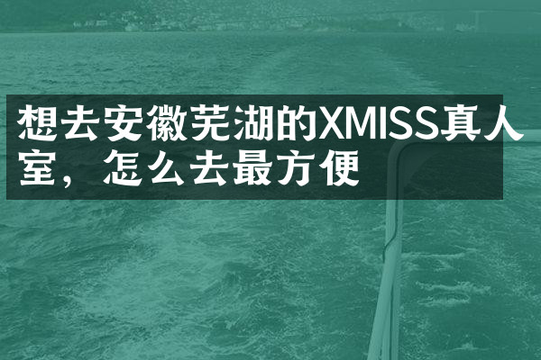想去安徽芜湖的XMISS真人密室，怎么去最方便
