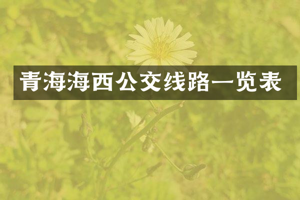 青海海西公交线路一览表