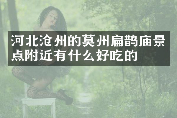 河北沧州的莫州扁鹊庙景点附近有什么好吃的