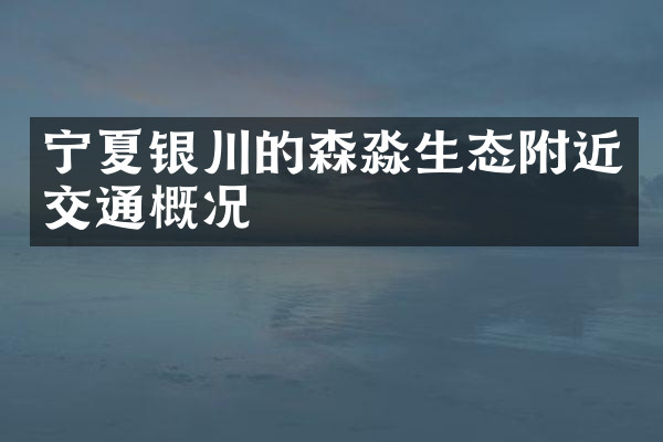 宁夏银川的森淼生态附近交通概况