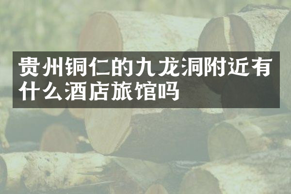 贵州铜仁的九龙洞附近有什么酒店旅馆吗