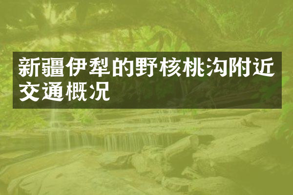 新疆伊犁的野核桃沟附近交通概况