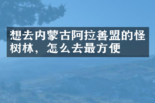 想去内蒙古阿拉善盟的怪树林，怎么去最方便