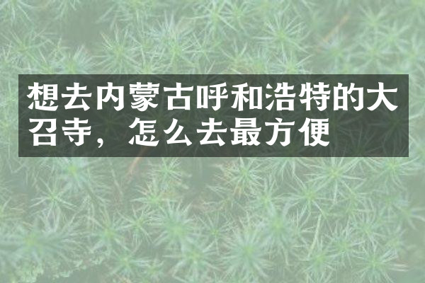 想去内蒙古呼和浩特的大召寺，怎么去最方便