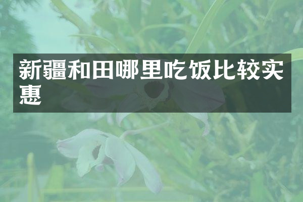 新疆和田哪里吃饭比较实惠