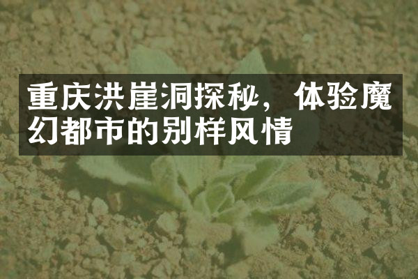 重庆洪崖洞探秘，体验魔幻都市的别样风情