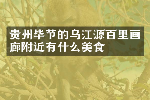 贵州毕节的乌江源百里画廊附近有什么美食
