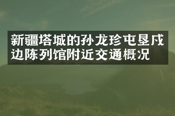 新疆塔城的孙龙珍屯垦戍边陈列馆附近交通概况