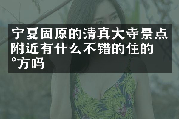 宁夏固原的清真大寺景点附近有什么不错的住的地方吗