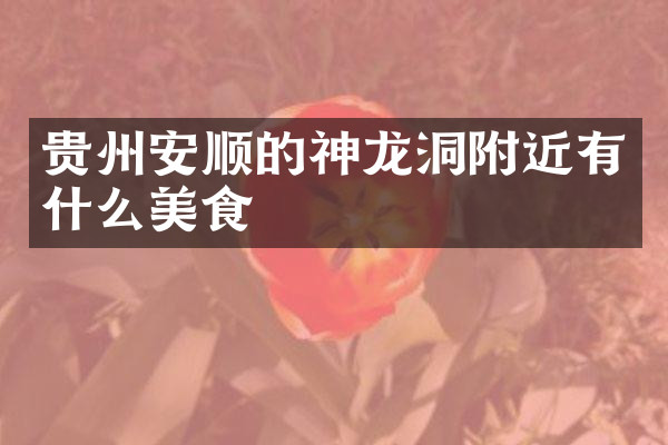 贵州安顺的神龙洞附近有什么美食
