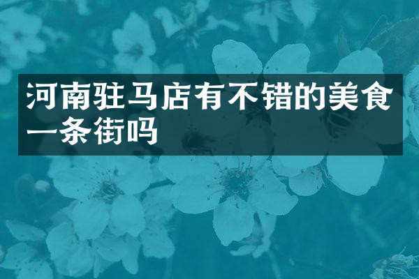 河南驻马店有不错的美食一条街吗