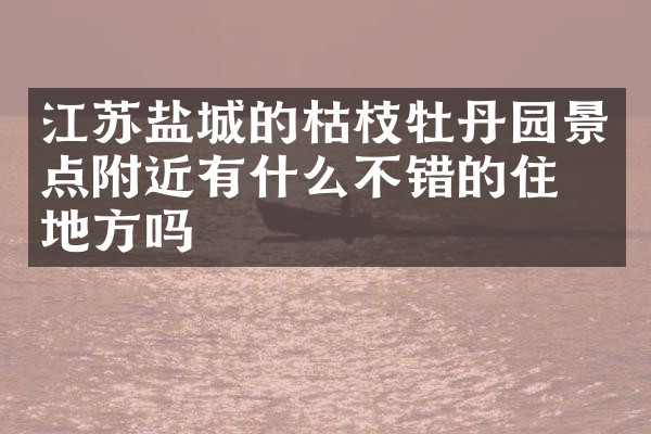 江苏盐城的枯枝牡丹园景点附近有什么不错的住的地方吗
