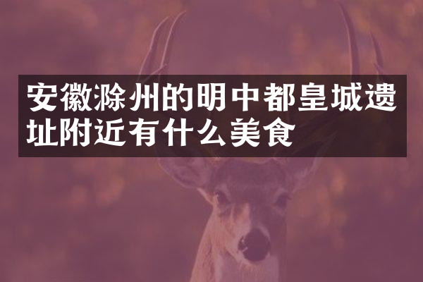 安徽滁州的明中都皇城遗址附近有什么美食