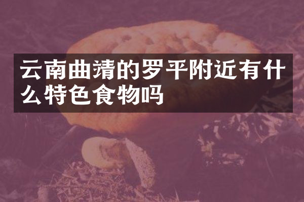 云南曲靖的罗平附近有什么特色食物吗