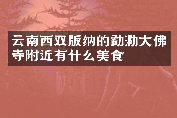云南西双版纳的勐泐大佛寺附近有什么美食