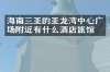 海南三亚的亚龙湾中心广场附近有什么酒店旅馆吗