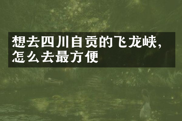 想去四川自贡的飞龙峡，怎么去最方便