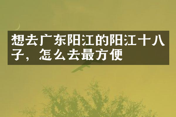 想去广东阳江的阳江十八子，怎么去最方便