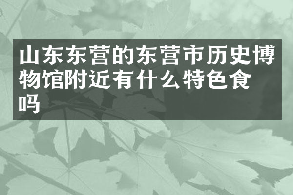山东东营的东营市历史博物馆附近有什么特色食物吗