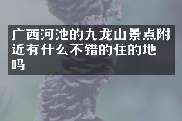 广西河池的九龙山景点附近有什么不错的住的地方吗