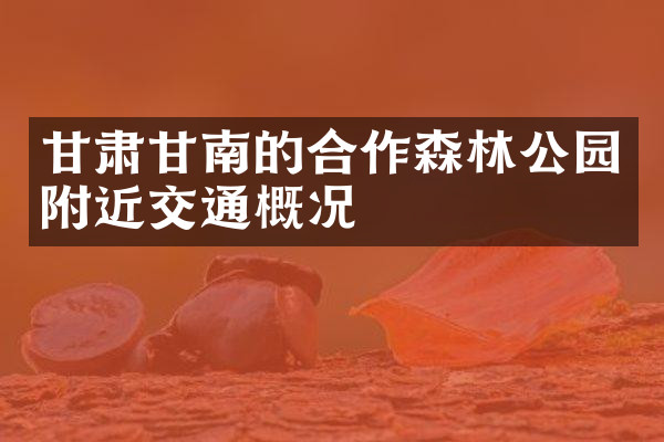 甘肃甘南的合作森林公园附近交通概况