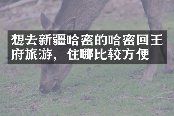 想去新疆哈密的哈密回王府旅游，住哪比较方便