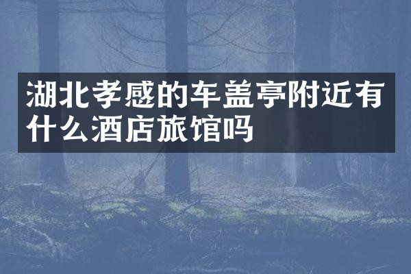 湖北孝感的车盖亭附近有什么酒店旅馆吗