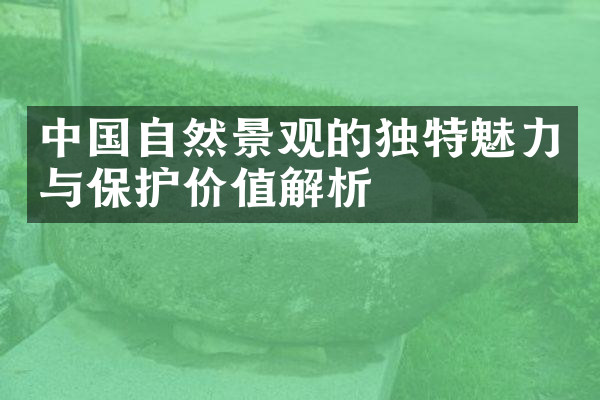 中国自然景观的独特魅力与保护价值解析
