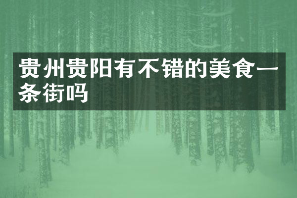 贵州贵阳有不错的美食一条街吗