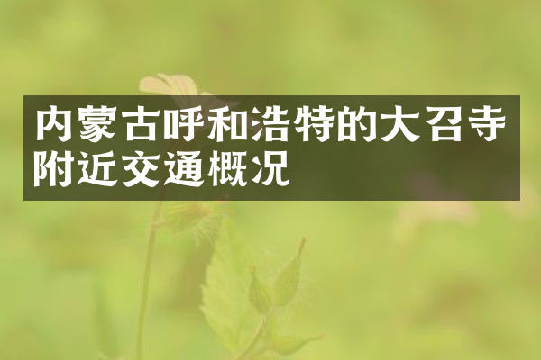 内蒙古呼和浩特的大召寺附近交通概况