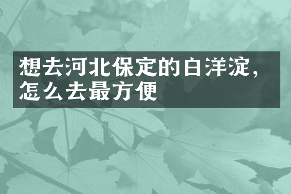 想去河北保定的白洋淀，怎么去最方便