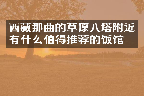 西藏那曲的草原八塔附近有什么值得推荐的饭馆吗