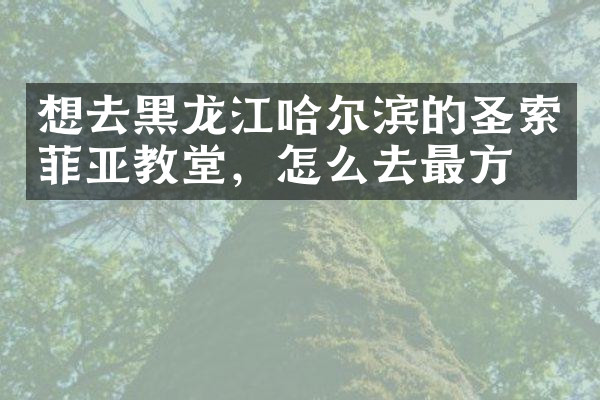 想去黑龙江哈尔滨的圣索菲亚教堂，怎么去最方便