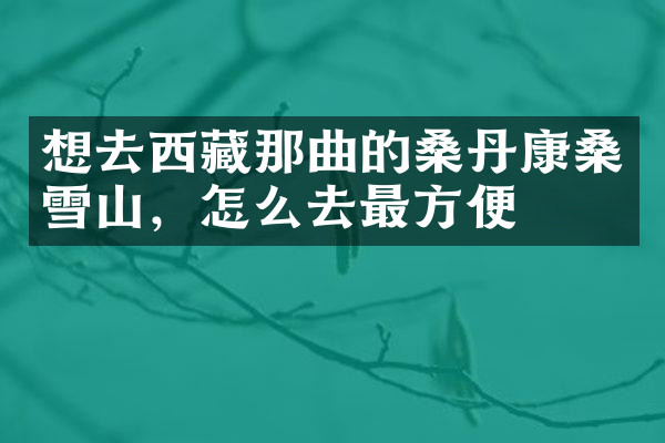 想去西藏那曲的桑丹康桑雪山，怎么去最方便