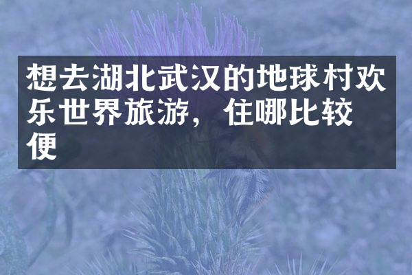 想去湖北武汉的地球村欢乐世界旅游，住哪比较方便