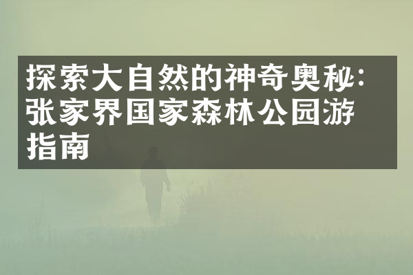 探索大自然的神奇奥秘：张家界国家森林公园游玩指南