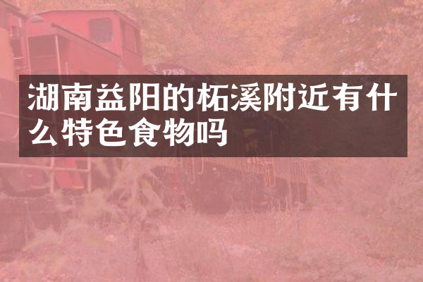 湖南益阳的柘溪附近有什么特色食物吗