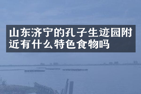 山东济宁的孔子生迹园附近有什么特色食物吗