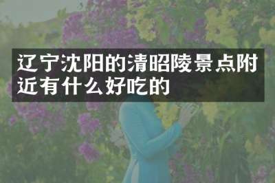辽宁沈阳的清昭陵景点附近有什么好吃的