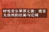呼伦贝尔草原之旅：感受大自然的壮美与辽阔