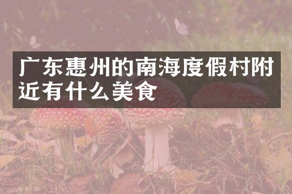 广东惠州的南海度假村附近有什么美食
