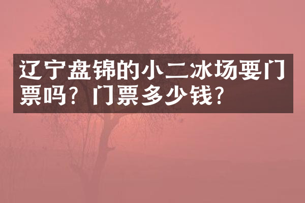 辽宁盘锦的小二冰场要门票吗？门票多少钱？