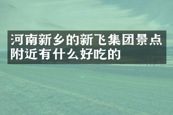 河南新乡的新飞集团景点附近有什么好吃的