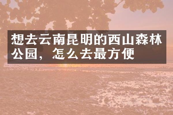 想去云南昆明的西山森林公园，怎么去最方便